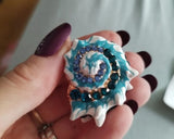 Broche de Concha Azul Esmaltado com Cristais