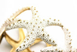 Pulseira Bracelete de Estrela do Mar Laszine Shop